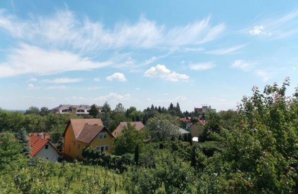 Bencze Vendeghaz Zalakaros Apartment Luaran gambar